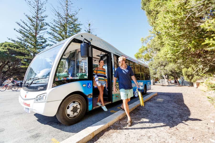 From Fremantle: Rottnest Island Ferry & Bus Day Tour - The 90-minute Discovery Coach Tour