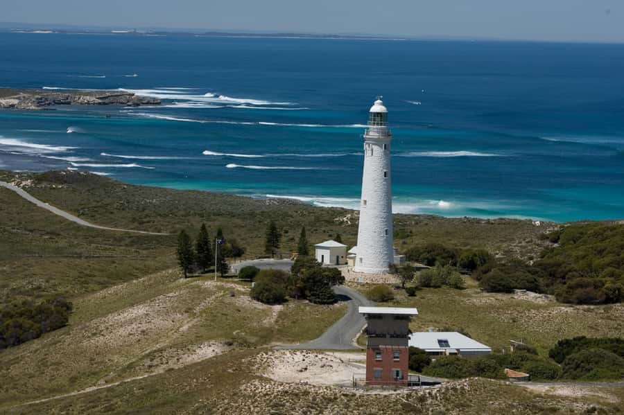 From Fremantle: Rottnest Island Ferry & Bus Day Tour - Finding quokkas without turning it into a chase