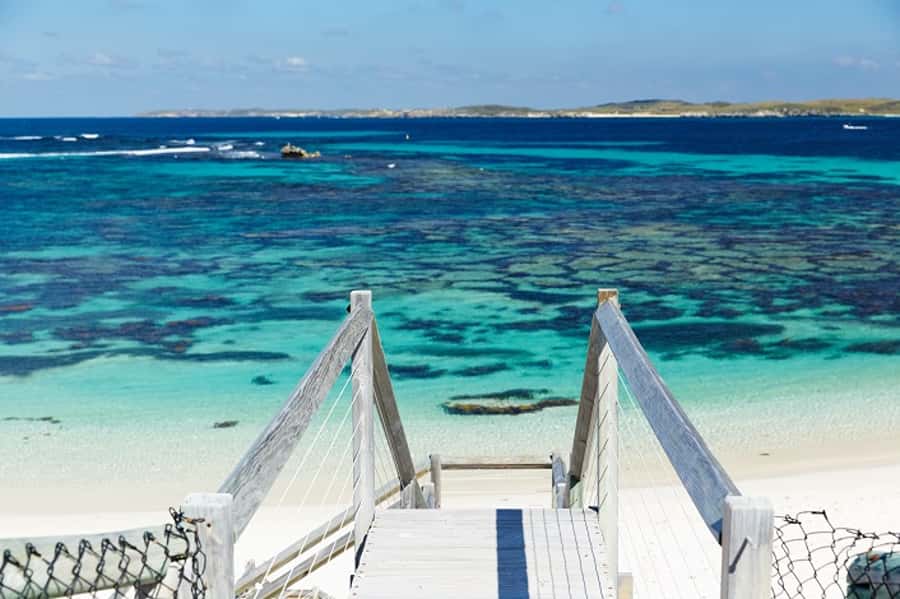 From Fremantle: Rottnest Island Ferry & Bus Day Tour - What $112 really buys you