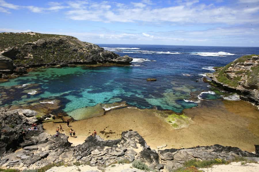From Fremantle: Rottnest Island Ferry & Bus Day Tour - The ferry from Victoria Quay