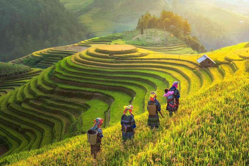 From Hanoi: 1-day Sapa Trekking Tour With Overnight Bus - Lao Chai and the Black H’mong setting
