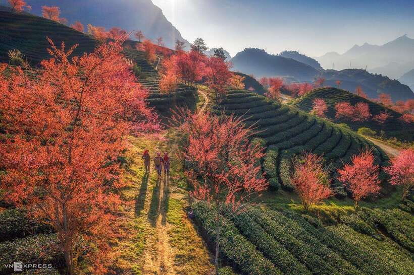 From Hanoi: 1-day Sapa Trekking Tour With Overnight Bus - Who should book this Sapa trek?