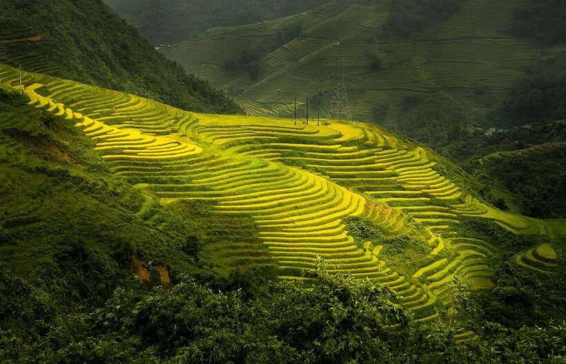 From Hanoi: 1-day Sapa Trekking Tour With Overnight Bus - Leaving Hanoi on the overnight sleeper bus
