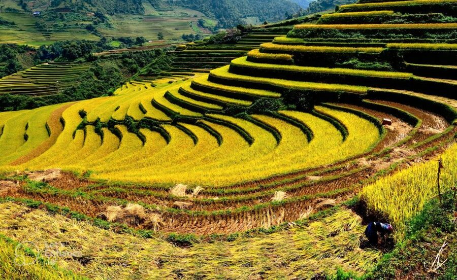 From Hanoi: 2-Day Sapa-Fansipan Peak & Trek & Ha Giang Bus - Continuing from Sapa to Ha Giang