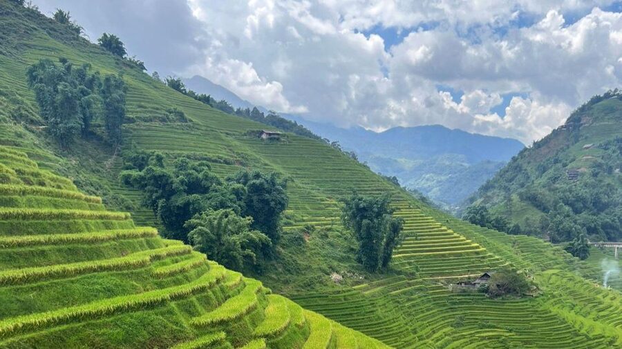 From Hanoi: Sapa 2D1N Homestay overnight by Morning bus - Giang Ta Chai and Supan on the second morning