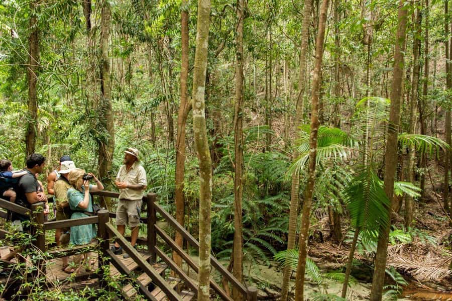 From Hervey Bay: K'gari, Fraser Island Full-Day Coach Tour - Central Station and the Wanggoolba Creek walk