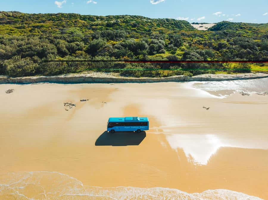 From Hervey Bay: K'gari, Fraser Island Full-Day Coach Tour - Lake McKenzie: the day’s essential stop
