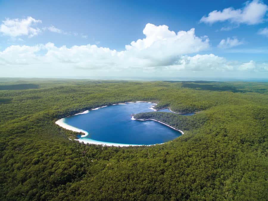 From Hervey Bay: K'gari, Fraser Island Full-Day Coach Tour - 75 Mile Beach, Eli Creek, and the Maheno wreck