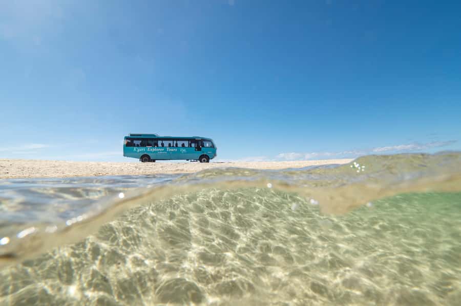 From Hervey Bay: K'gari, Fraser Island Full-Day Coach Tour - The optional scenic flight