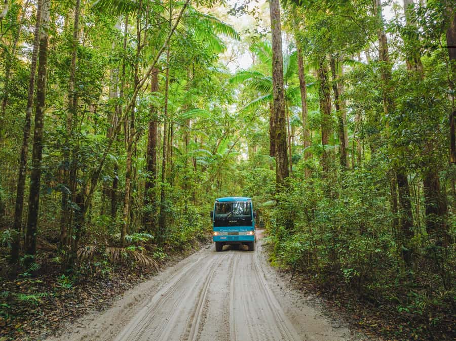From Hervey Bay: K'gari, Fraser Island Full-Day Coach Tour - Guides, language support, and the pace of the day