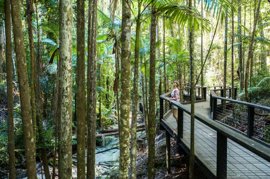 From Hervey Bay: K'gari, Fraser Island Two-Day Coach Tour - Key points to know before booking