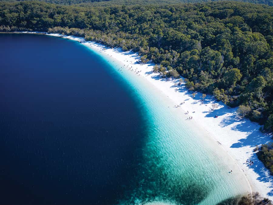 From Hervey Bay: K'gari, Fraser Island Two-Day Coach Tour - Central Station and the Wanggoolba Creek rainforest