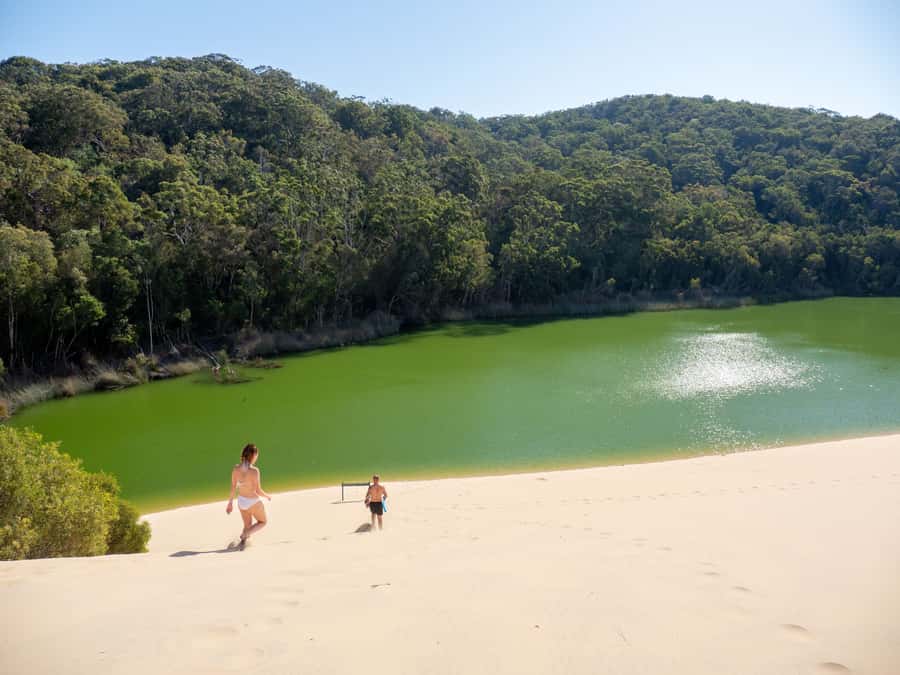 From Hervey Bay: K'gari Getaway Three-day 4WD Coach Tour - Lake McKenzie: the stop most people are waiting for