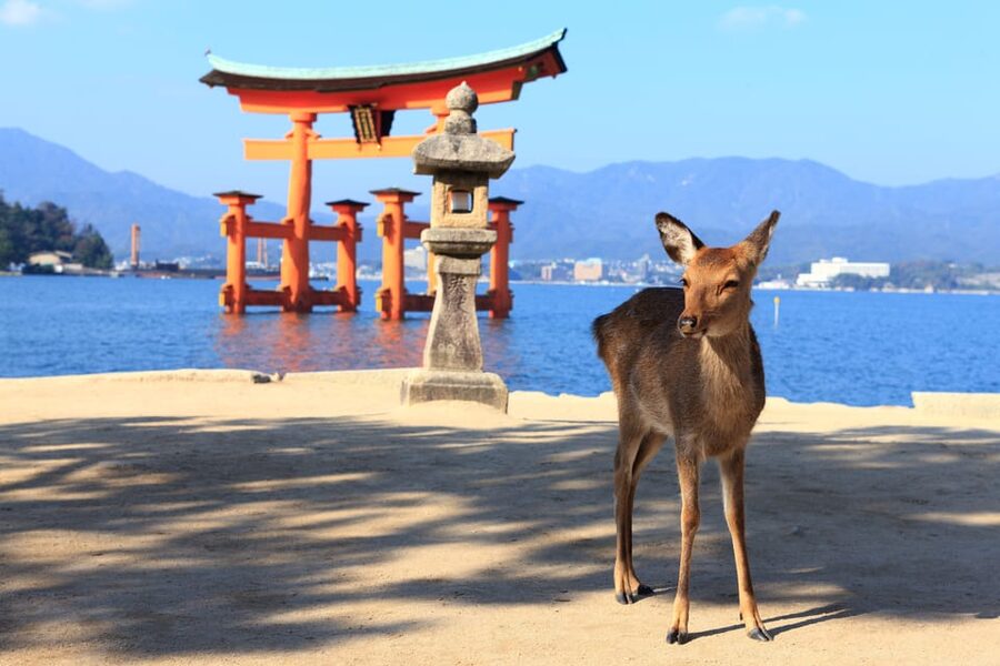 From Hiroshima: Hiroshima & Miyajima 1 Day Tour with Lunch - The guides make the packed schedule work