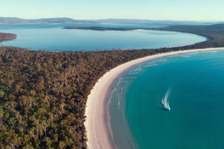 From Hobart: Day Tour to Maria Island with Bus Connection - Key points before you book