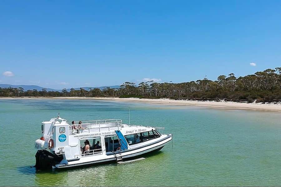 From Hobart: Day Tour to Maria Island with Bus Connection - The coastal cruise around Maria Island