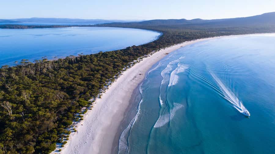 From Hobart: Day Tour to Maria Island with Bus Connection - The guides and the quality of the day