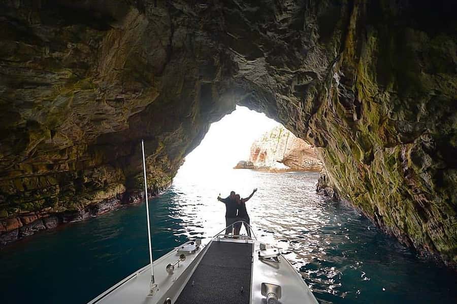 From Hobart: Day Tour to Maria Island with Bus Connection - Is $230 good value?