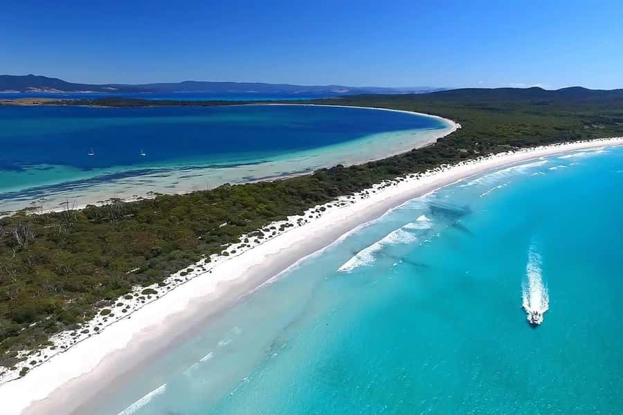 From Hobart: Day Tour to Maria Island with Bus Connection - The morning ride from Hobart to Triabunna
