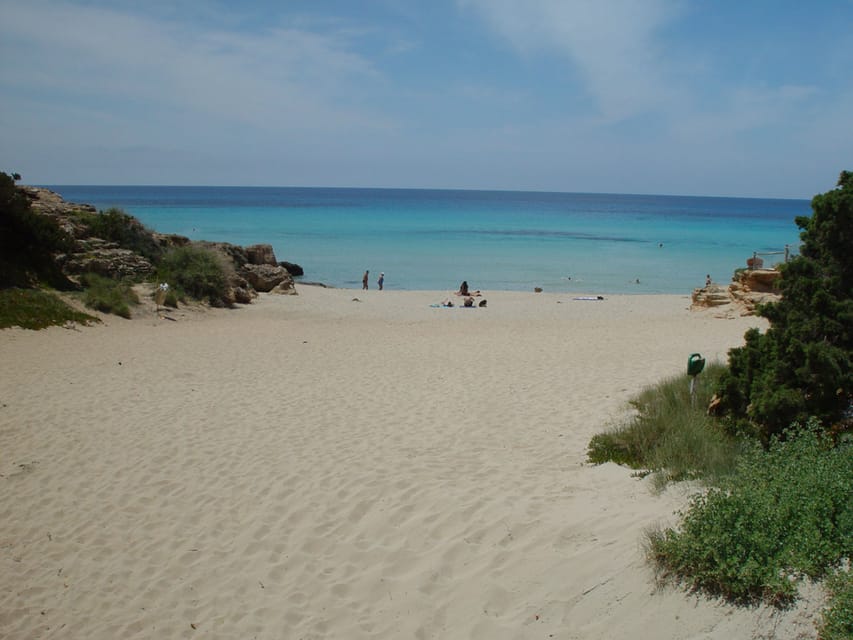 From Ibiza: Ferry and Guided Bus Excursion in Formentera - Las Salinas adds a different side of Formentera