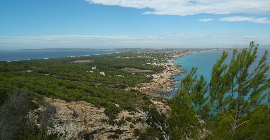 From Ibiza: Ferry and Guided Bus Excursion in Formentera - Why this Formentera trip makes sense from Ibiza
