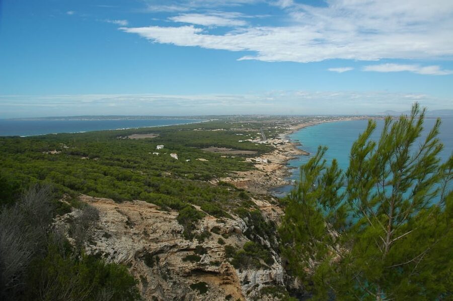 From Ibiza: Ferry and Guided Bus Excursion in Formentera - Pickup can shape your whole day