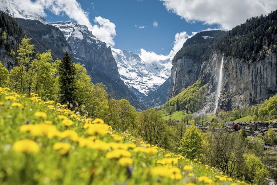 From Interlaken: Guided Tour to Jungfraujoch - Top of Europe - Who should book this Jungfraujoch trip?