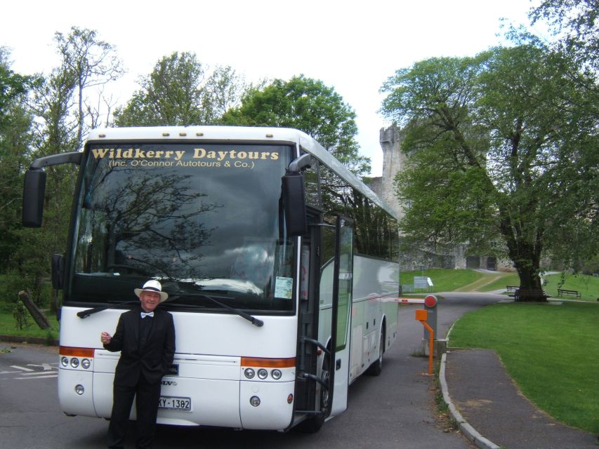 From Killarney: 'Ring of Kerry' Mountain Road 1-Day Bus Tour - Dingle Bay and the rural southern coast