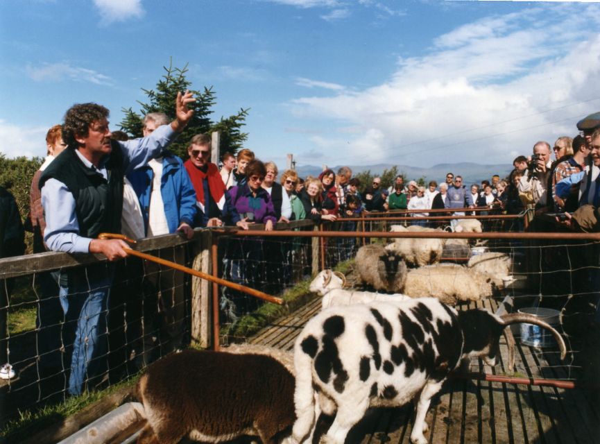 From Killarney: 'Ring of Kerry' Mountain Road 1-Day Bus Tour - Bog Village, sheep dogs, and optional local stops