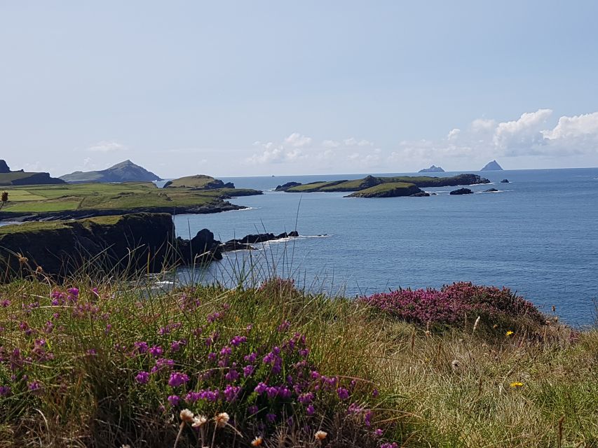 From Killarney: 'Ring of Kerry' Mountain Road 1-Day Bus Tour - Lunch with a view, plus a short refreshment stop