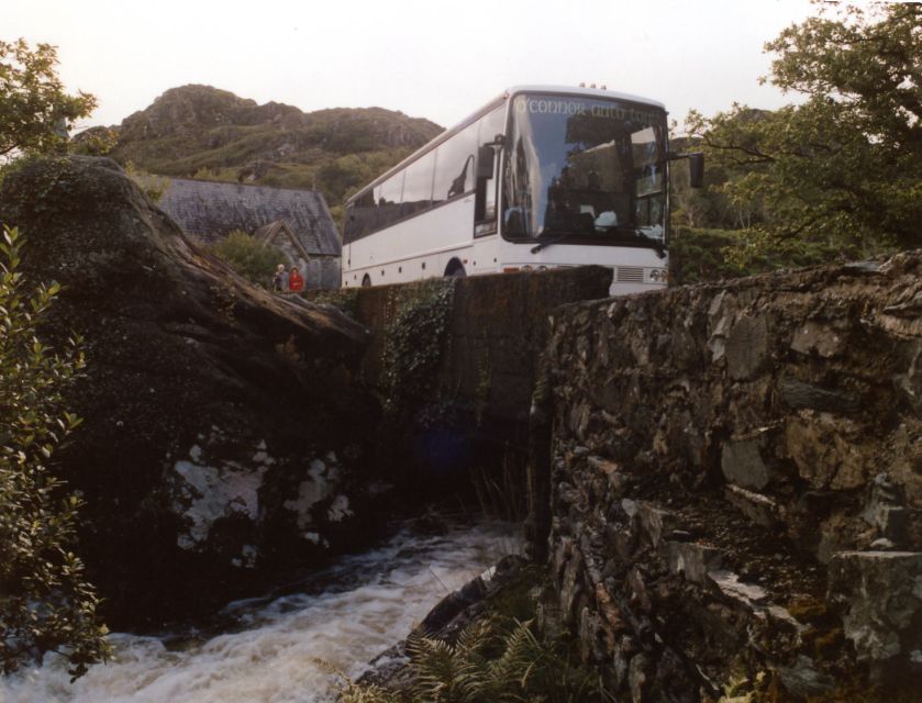 From Killarney: 'Ring of Kerry' Mountain Road 1-Day Bus Tour - Bus size, motion, and the pace of the day