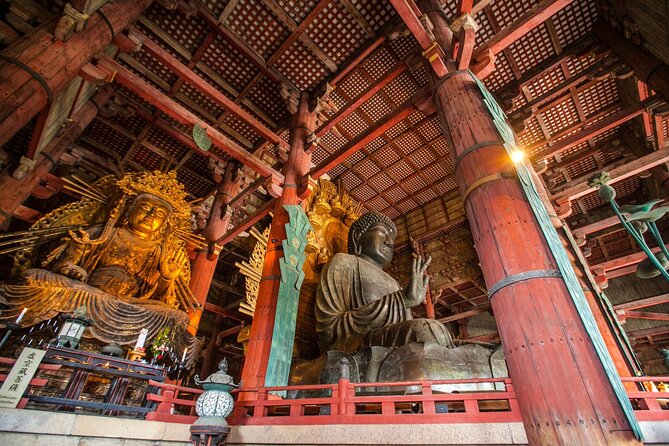 From Kyoto: Nara History Guided Half Day Bus Tour with Lunch - Why this six-hour Nara trip works from Kyoto