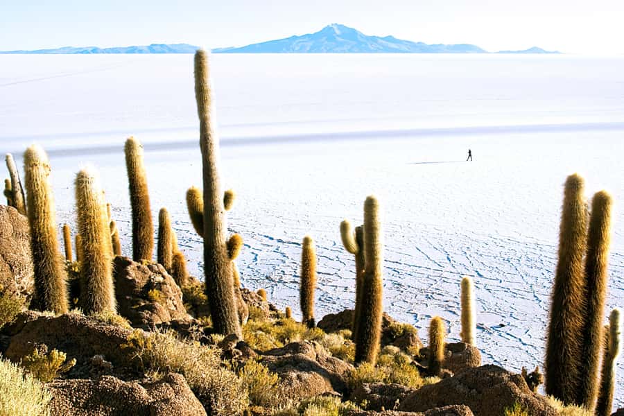 From La Paz: Uyuni Salt Flat Tour & Overnight Roundtrip Bus - The three-hour pause in Uyuni