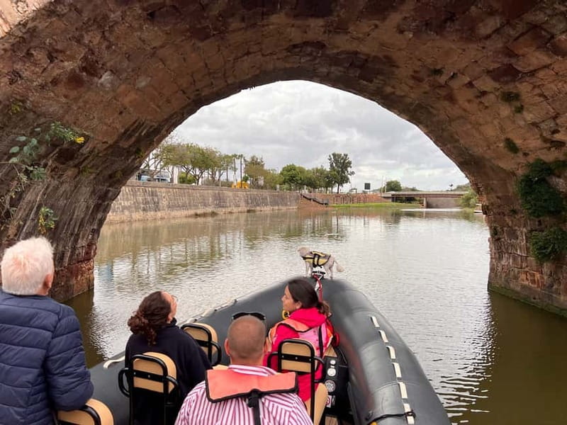 From Lagoa: Visit Silves Town by Boat with Hop Off & Hop On - Birdwatching on the Arade estuary