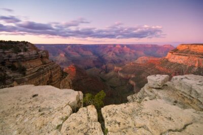 Grand Canyon National Park Day Tour by Bus