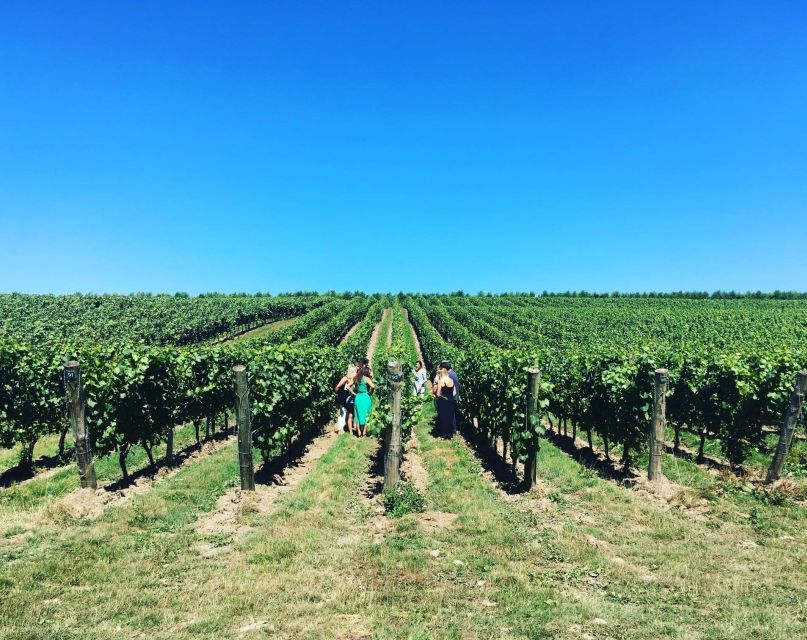 From London: Vintage Bus Wine Tour with Return Train Tickets - Why the vintage bus is more than a photo opportunity