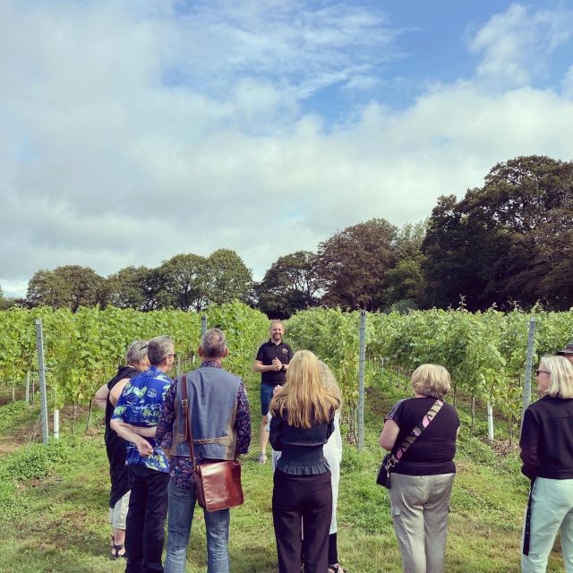 From London: Vintage Bus Wine Tour with Return Train Tickets - Eight wines with a clear teaching element