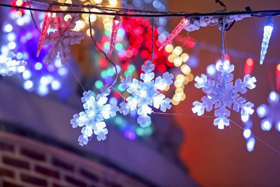 From Manhattan: Dyker Heights Lights & Skyline Tour - What makes the $55 price worthwhile
