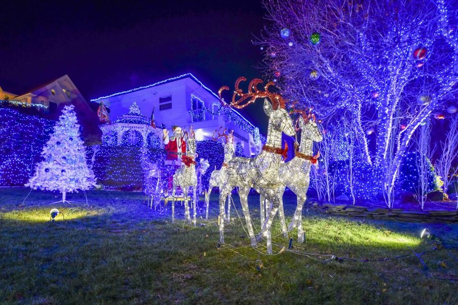 From Manhattan: Dyker Heights Lights & Skyline Tour - The guides are a major part of the experience