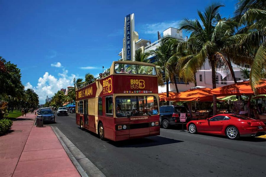 From Miami: Everglades, Wildlife Show, & Hop-on Hop-off Tour - Who will get the most from this combo?