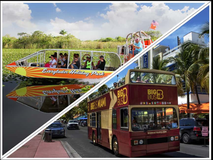From Miami: Everglades, Wildlife Show, & Hop-on Hop-off Tour - One ticket, two very different Miami days
