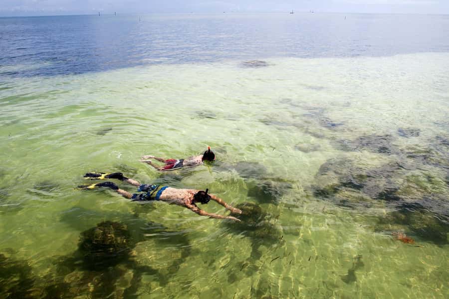 From Miami: Key West Day Tour by Motor Coach Bus - Who should book this Key West day trip?