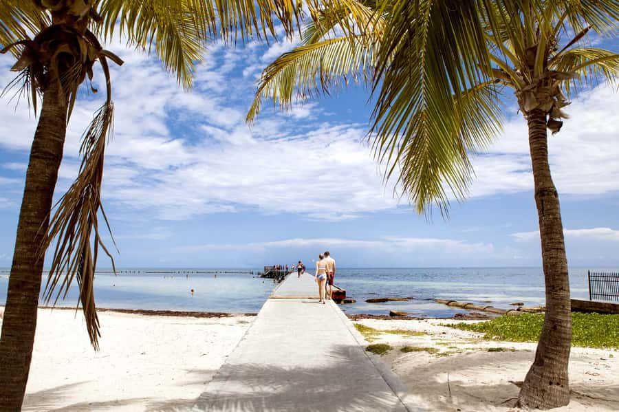 From Miami: Key West Day Tour by Motor Coach Bus - Hemingway’s House and Key West’s literary side