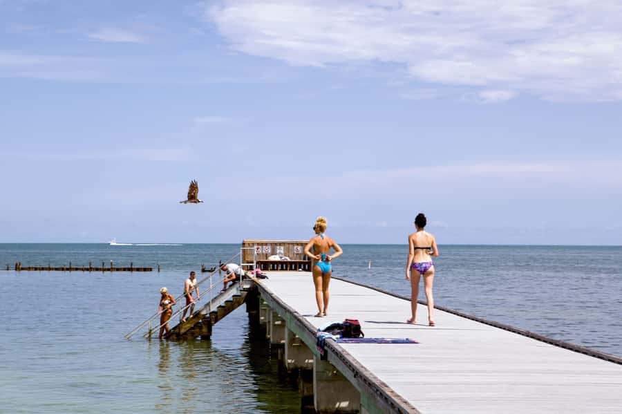 From Miami: Key West Day Tour by Motor Coach Bus - Southernmost Point and the city’s famous photo stops