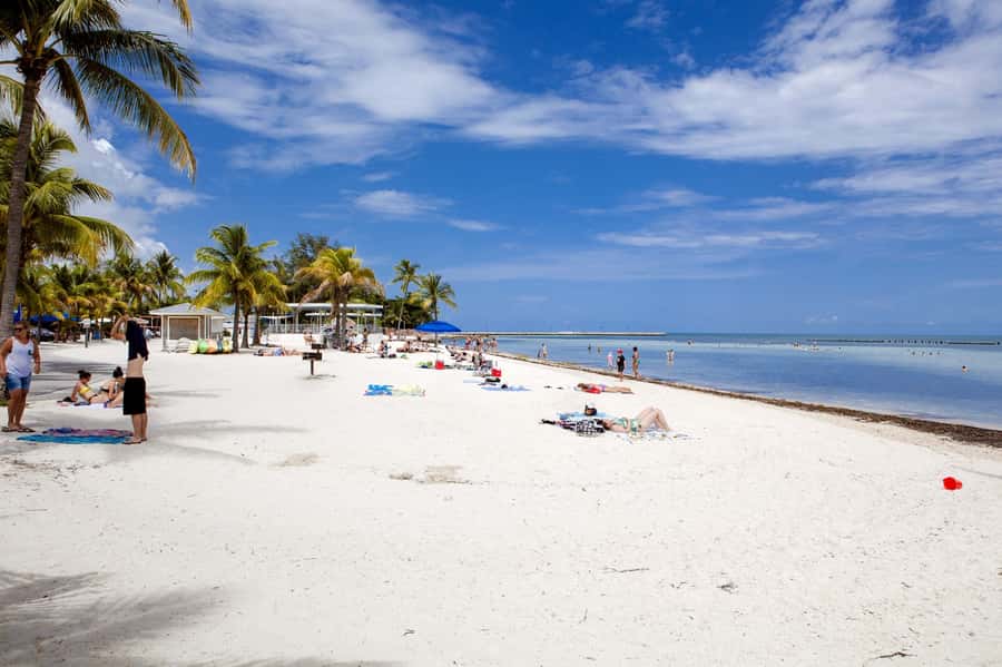 From Miami: Key West Day Tour by Motor Coach Bus - Practical advice for a smoother day