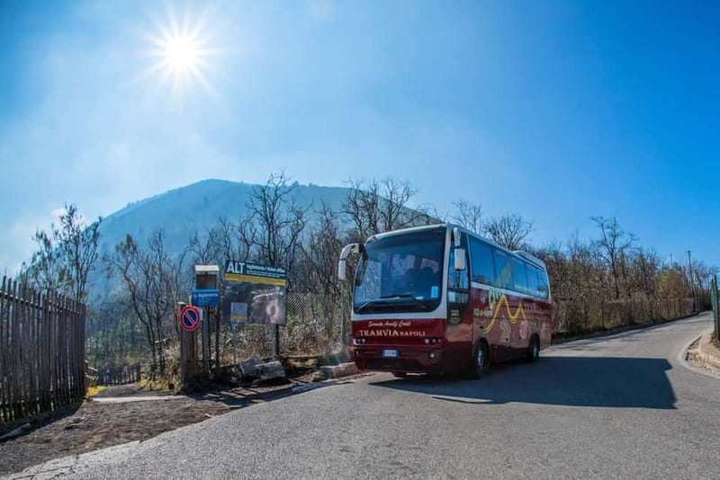 From Naples: Pompeii and Vesuvius by Bus - Pompeii with three hours to explore
