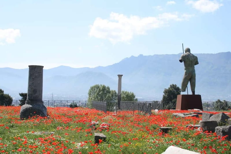From Naples: Pompeii and Vesuvius by Bus - Practical tips for a better Pompeii and Vesuvius visit