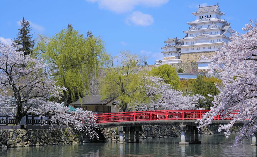 From Osaka: Himeji Castle, Arima Onsen & Mt. Rokko Day Tour - The best parts of the day at a glance