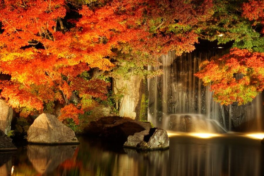 From Osaka: Himeji Castle, Arima Onsen & Mt. Rokko Day Tour - Arima Onsen: your chance to slow down