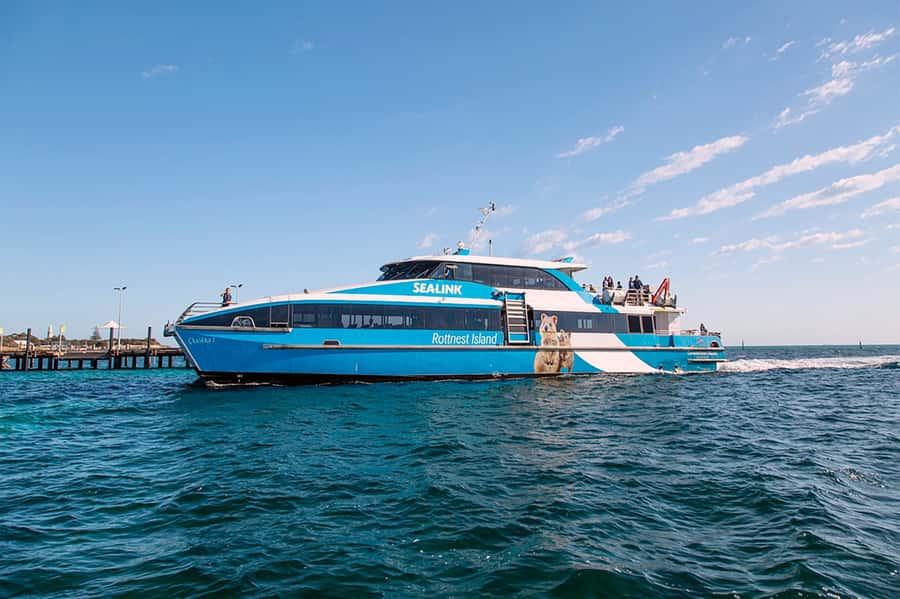 From Perth or Fremantle: Rottnest Island Ferry and Bus Tour - Should you book it?